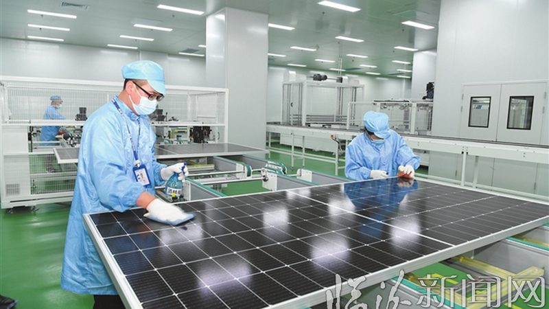 高效单晶硅光伏组件：如何挑选高品质之选**